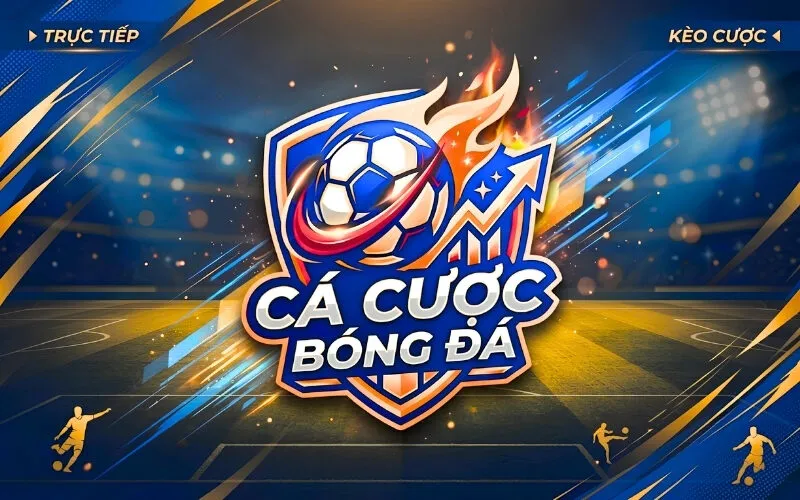 Cá độ bóng đá online