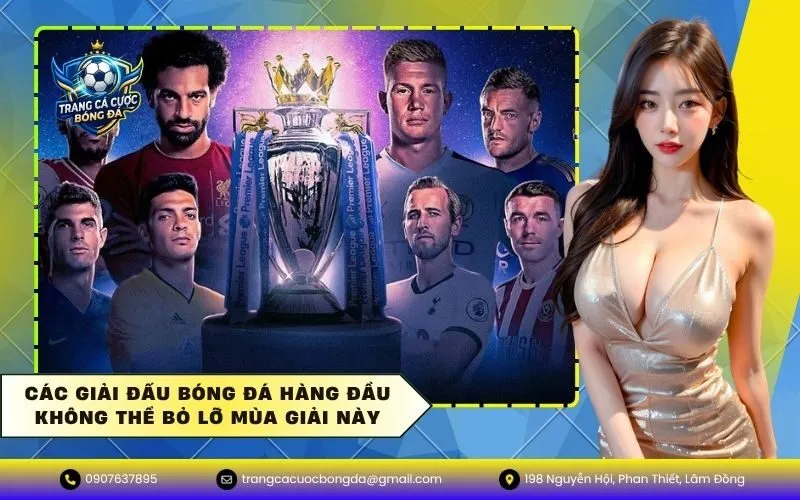 Các giải đấu bóng đá hàng đầu không thể bỏ lỡ mùa giải này
