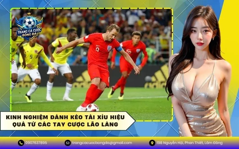 Kinh nghiệm đánh kèo tài xỉu hiệu quả từ các tay cược lão làng