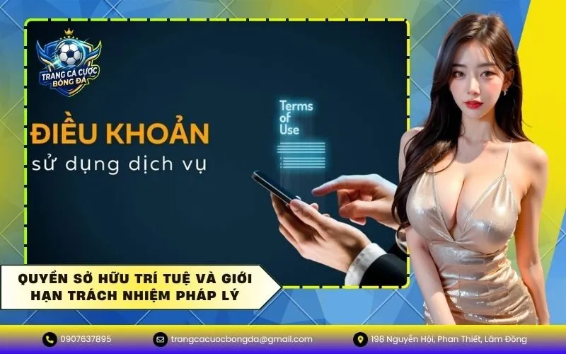 Quyền Sở Hữu Trí Tuệ Và Giới Hạn Trách Nhiệm Pháp Lý